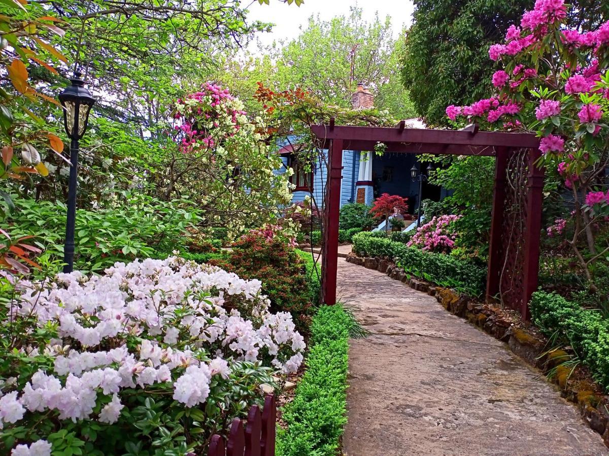Kubba Roonga Guesthouse - Boutique Luxury Spa Retreat & Gardens - Blue Mountains Blackheath Exteriör bild