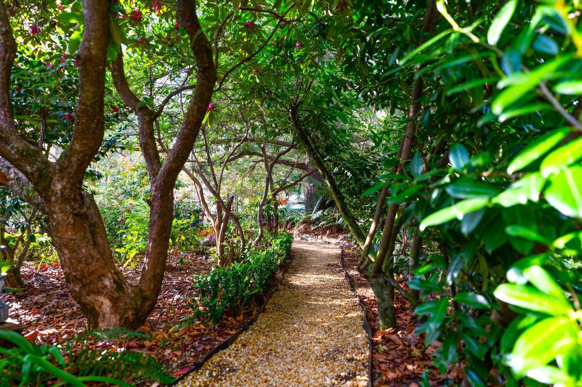 Kubba Roonga Guesthouse - Boutique Luxury Spa Retreat & Gardens - Blue Mountains Blackheath Exteriör bild