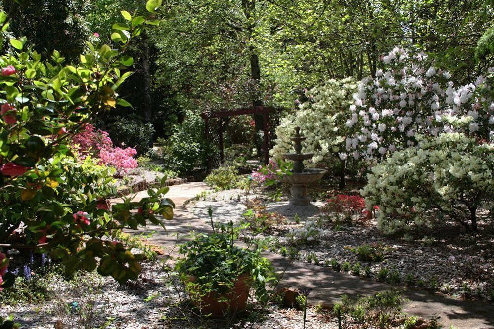 Kubba Roonga Guesthouse - Boutique Luxury Spa Retreat & Gardens - Blue Mountains Blackheath Exteriör bild