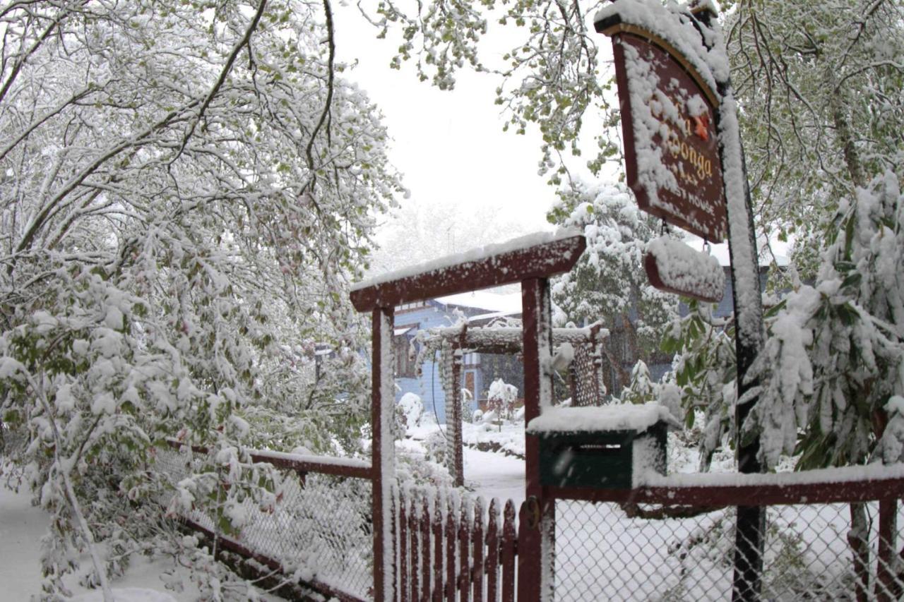 Kubba Roonga Guesthouse - Boutique Luxury Spa Retreat & Gardens - Blue Mountains Blackheath Exteriör bild